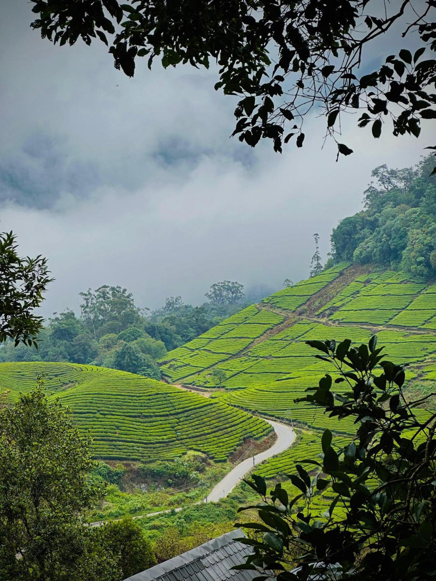 Forestscape Resort Munnar Eksteriør bilde